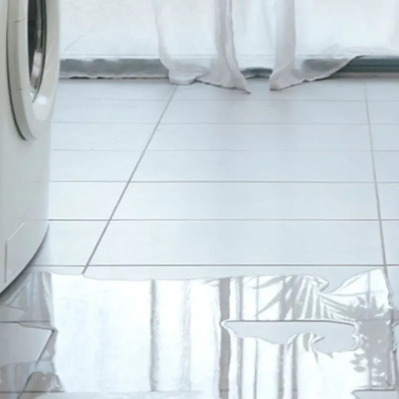 Appliance Leak Cleanup in Cook County, MN