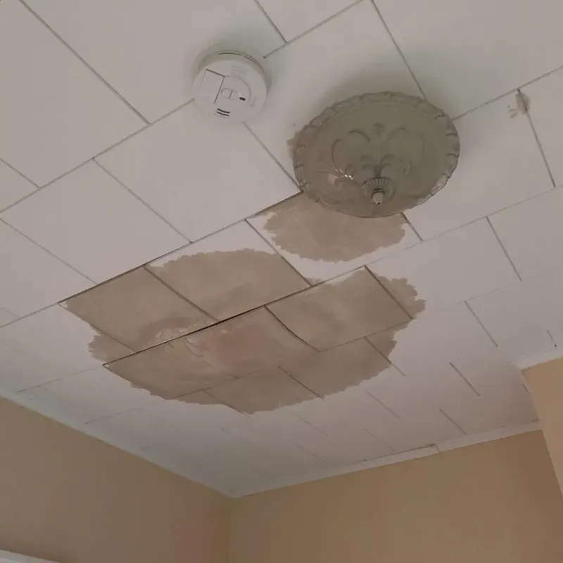 Ceiling Water Damage Repair in Cook County, MN