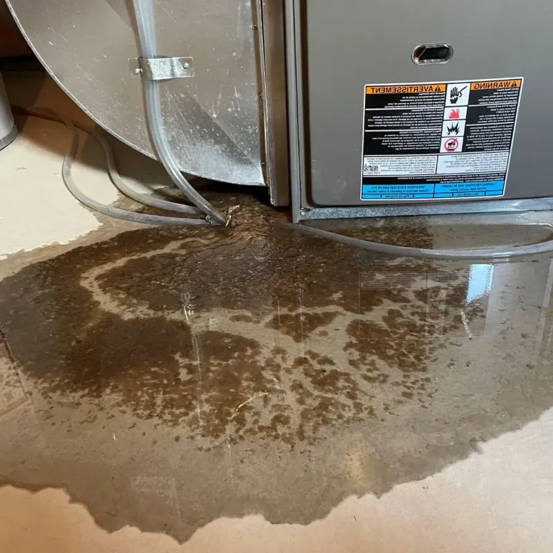 Pipe Burst and Leak Restoration in Cook County, MN